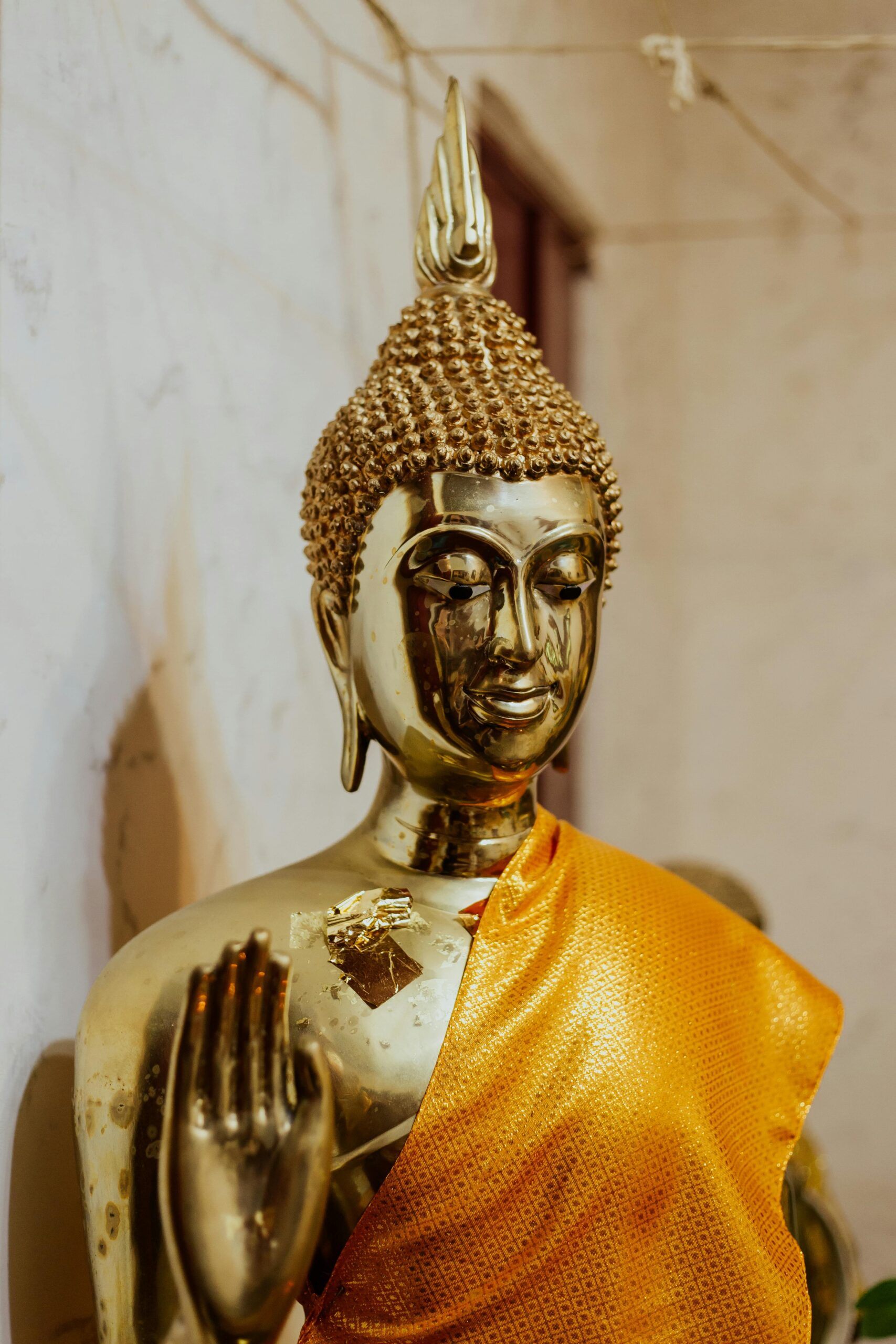 महर्षि गौतम बुद्ध की जीवनी Maharishi Gautam Buddha's Biography